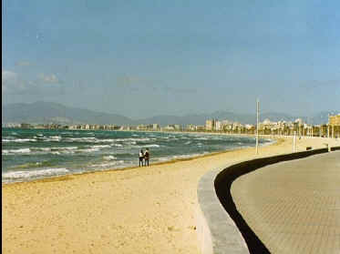 P032-001.jpg (50733 Byte)