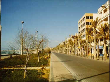 P050-011.jpg (52725 Byte)