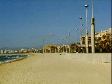 P050-012.jpg (30821 Byte)