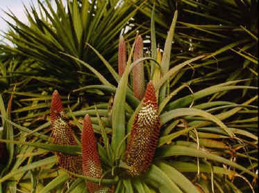 P050-023.jpg (62741 Byte)