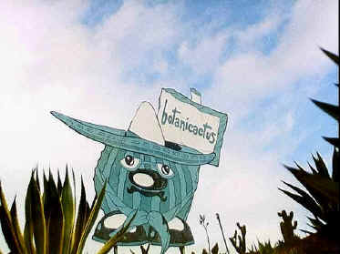 P050-024.jpg (41273 Byte)