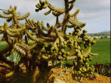 P050-034.jpg (59922 Byte)