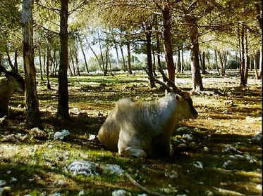 P017-021.jpg (82384 Byte)