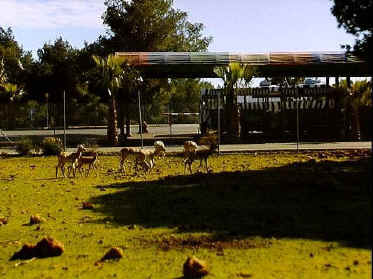 P017-022.jpg (55223 Byte)