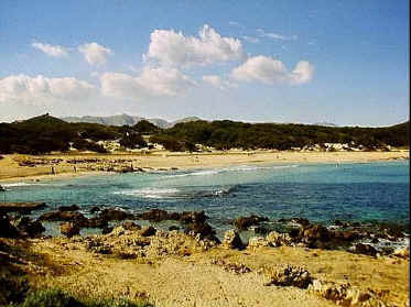 P017-023.jpg (58379 Byte)