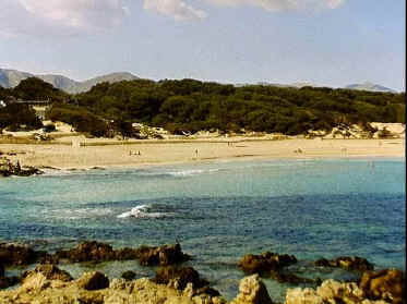 P017-025.jpg (48812 Byte)