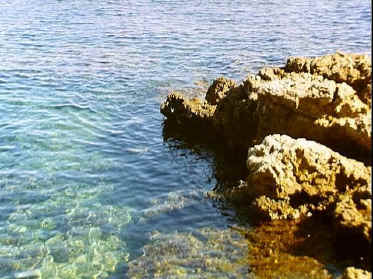 P017-029.jpg (60623 Byte)