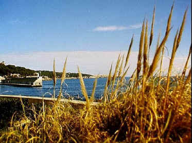 P017-034.jpg (55584 Byte)