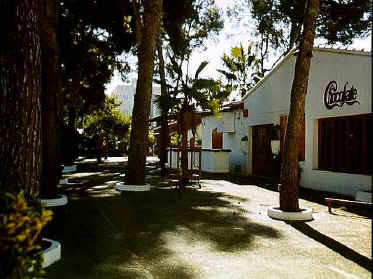 P017-037.jpg (60509 Byte)