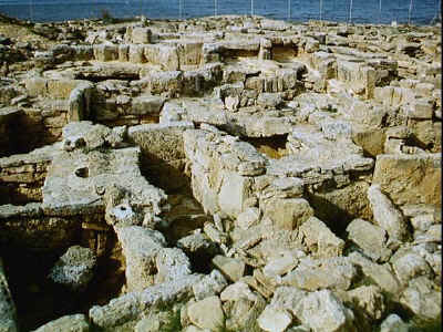 P011-018.jpg (73169 Byte)