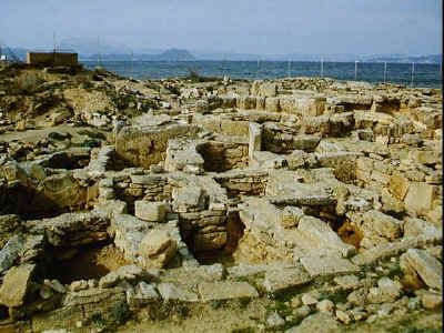 P011-019.jpg (65799 Byte)