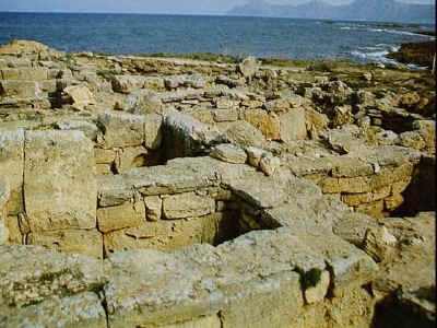 P011-020.jpg (66239 Byte)