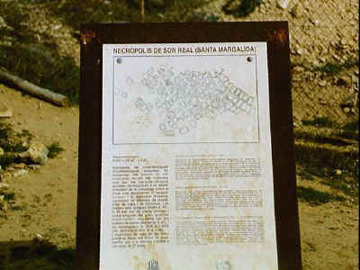 P011-023.jpg (48715 Byte)