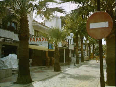 P011-027.jpg (51434 Byte)