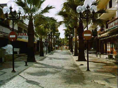 P011-028.jpg (58948 Byte)