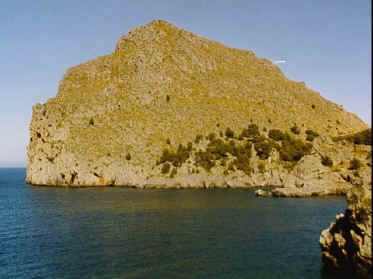 P016-014.jpg (48373 Byte)