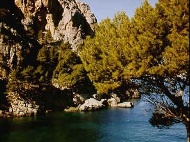 P016-016.jpg (68096 Byte)