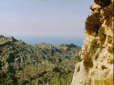 P016-019.jpg (52760 Byte)