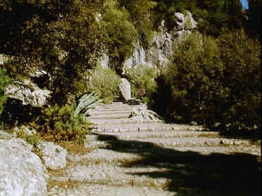 P016-029.jpg (68870 Byte)