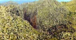 Berge1.jpg (20222 Byte)