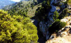 Berge2.jpg (14756 Byte)