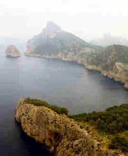 Form2.jpg (5971 Byte)