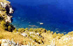 K�ste2.jpg (9560 Byte)