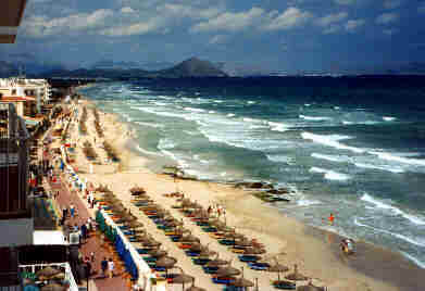 Picaf1.jpg (11898 Byte)