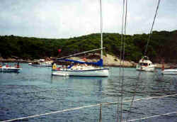 Segel1.jpg (11673 Byte)