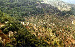 .Serpentinjpg.jpg (14972 Byte)