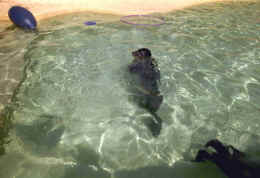 imm015.jpg (89287 Byte)