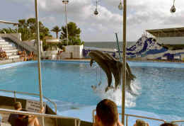 imm023.jpg (109616 Byte)