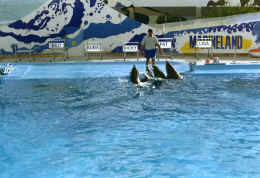 imm026.jpg (108982 Byte)