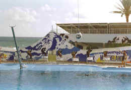 imm029.jpg (93164 Byte)