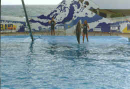 imm032.jpg (98926 Byte)