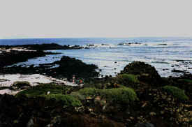 Lanza3.jpg (172941 Byte)