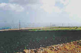 Lanza1.jpg (4245 Byte)