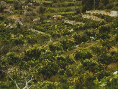 P011-014.jpg (51442 Byte)