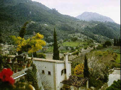 P011-015.jpg (53159 Byte)